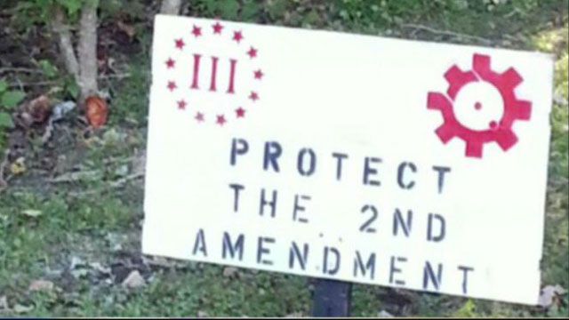 The Second Amendment